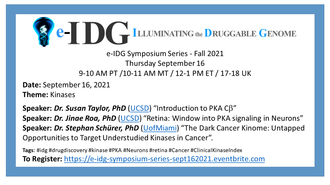 e-IDG Fall 2021: Kinase